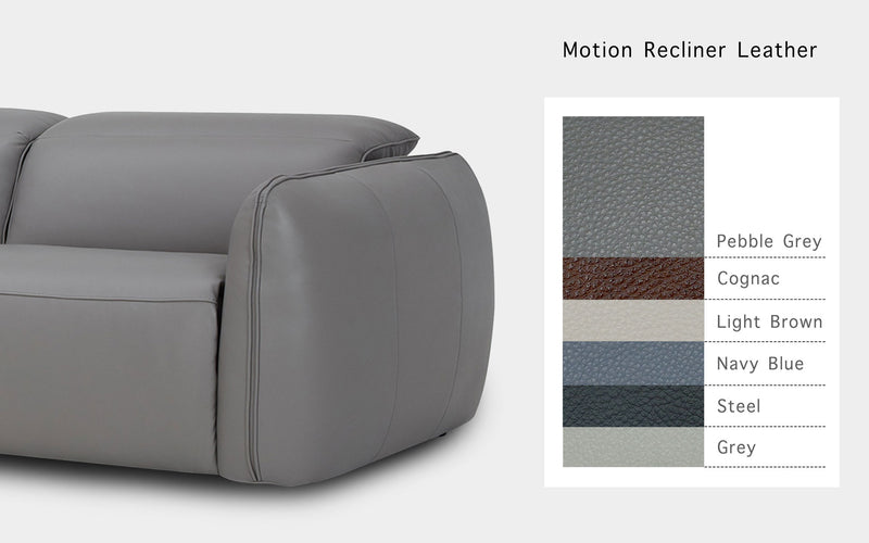 Motion Recliner Leather